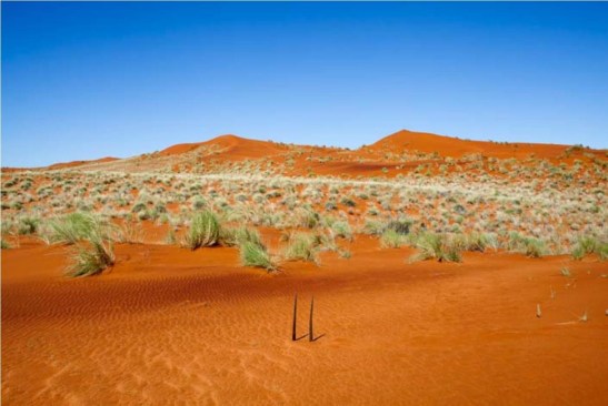 1. Expo La deconstrucción del Paisaje - Obra de Alfredo De Stefano_1