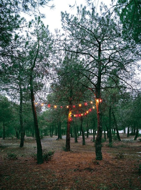 4. Ángel Marcos.Rastro4