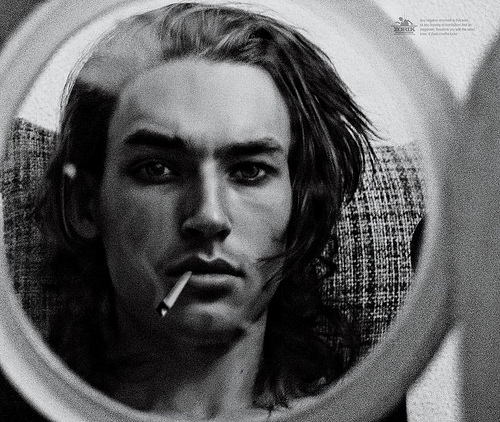 5550072732_8f4f462605