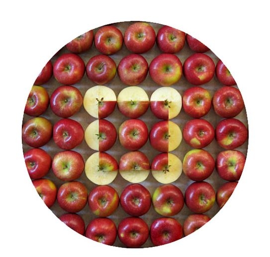 1. A1Ob, CPRINT, 2007