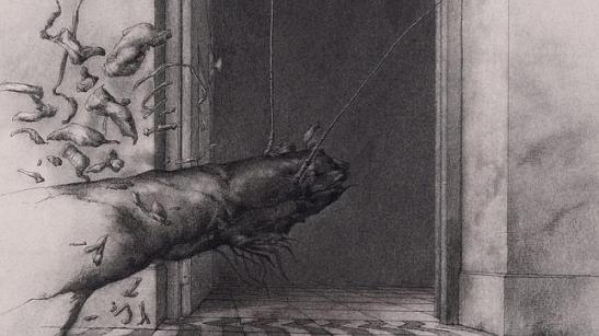 08_Metamorfosis XV--644x362