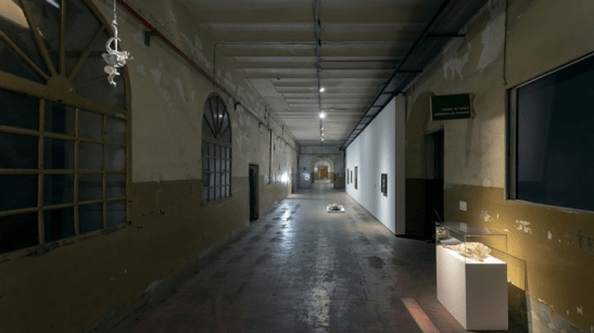 main_notice_Sinestesias 033.jpg