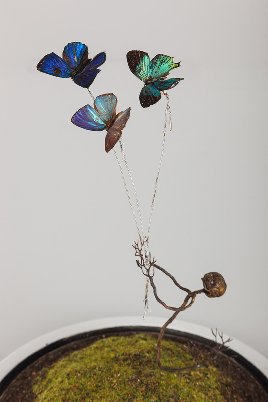 hugo-bruce_dark-and-light-detalle_536