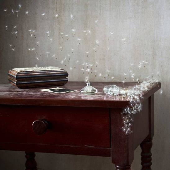 "Déjame volar, 05", David Catá. 2012.