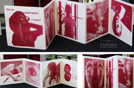 ¿Hay un `incorrecto´ soñar Andrea Cruz (2014).