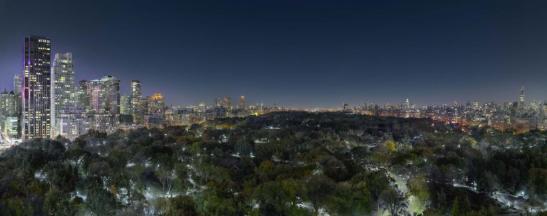 central_park_night_new_york_2015._250x113_cm