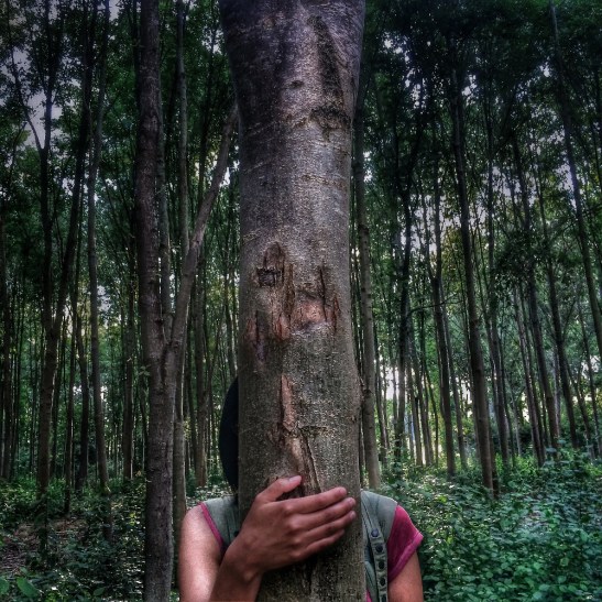Una-de-las-imagenes-presentadas-por-Emily-Schiffer-