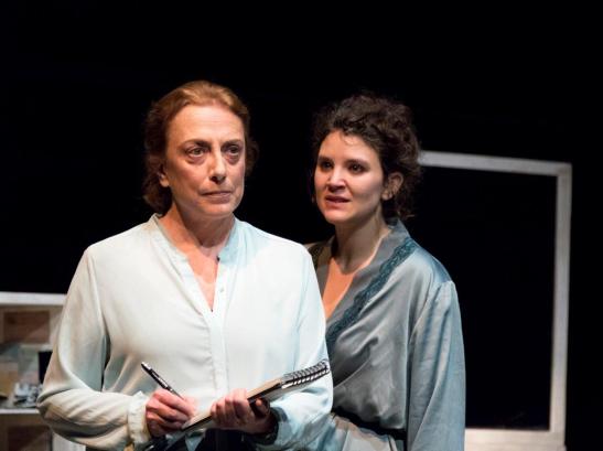 madferia_taxidermia-de-un-gorrion_06_miguel-sarti