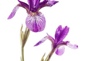 El-señor-Ibrahim-Alcorcón-02-768x1024